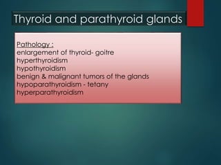 Thyroid and parathyroid glands
Pathology :
enlargement of thyroid- goitre
hyperthyroidism
hypothyroidism
benign & malignant tumors of the glands
hypoparathyroidism - tetany
hyperparathyroidism
 