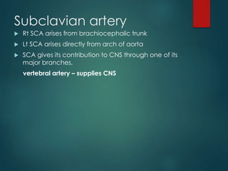 Subclavian artery
 Rt SCA arises from brachiocephalic trunk
 Lt SCA arises directly from arch of aorta
 SCA gives its contribution to CNS through one of its
major branches,
vertebral artery – supplies CNS
 