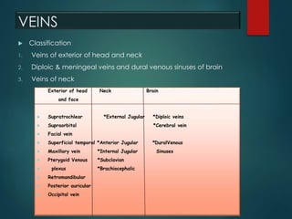 VEINS
 Classification
1. Veins of exterior of head and neck
2. Diploic & meningeal veins and dural venous sinuses of brain
3. Veins of neck
Exterior of head Neck Brain
and face
 Supratrochlear *External Jugular *Diploic veins
 Supraorbital *Cerebral vein
 Facial vein
 Superficial temporal *Anterior Jugular *DuralVenous
 Maxillary vein *Internal Jugular Sinuses
 Pterygoid Venous *Subclavian
 plexus *Brachiocephalic
 Retromandibular
 Posterior auricular
 Occipital vein
 