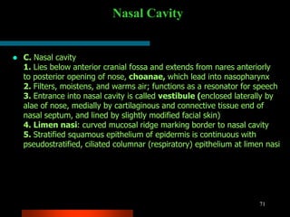 head and neck anatomy.ppt
