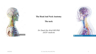 The Head And Neck Anatomy
The neck
3/4/2022 1
Dr. Emad Abu Alrub MD PhD
Dr. Emad Abu Alrub MD PhD
AAUP- medicine
 