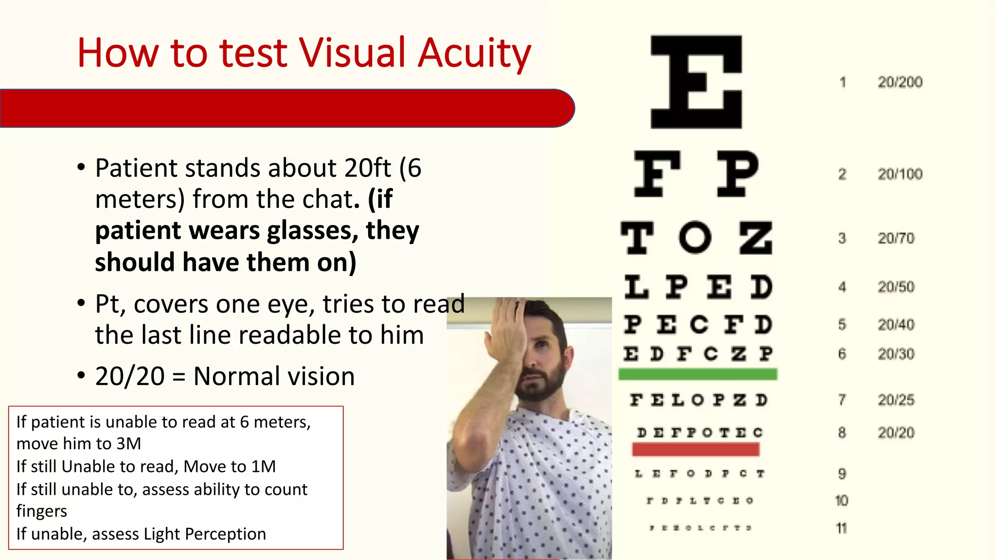 Head And Neck Assessment For 1 1 Pdf