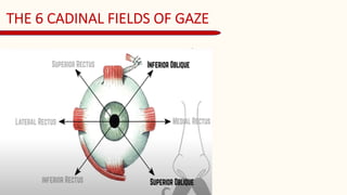 HEAD AND NECK ASSESSMENT For 1.1.pdf