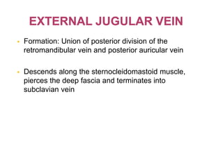 Formation: Union of posterior division of the
retromandibular vein and posterior auricular vein
 Descends along the sternocleidomastoid muscle,
pierces the deep fascia and terminates into
subclavian vein
 