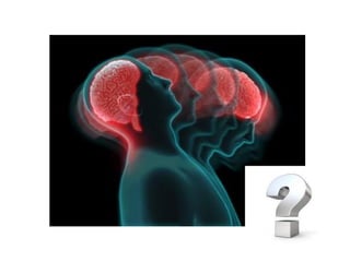 Head and neck blood vessels 2