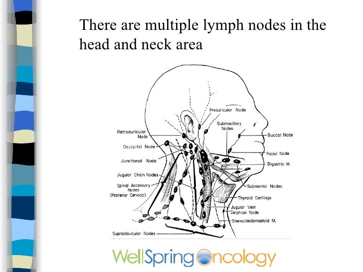 cancer in neck lymph nodes cancer in neck lymph nodes