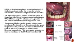 Anatomy of Head and Neck: Oral Cavity, Tongue, and Swallowing ...