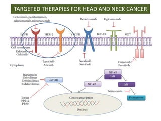 Head and neck cancer | PPT