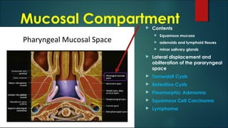 Mucosal Compartment Contents
 Squamous mucosa
 adenoids and lymphoid tissues
 minor salivary glands
 Lateral displacement and
obliteration of the pararyngeal
space
 Tornwaldt Cysts
 Retention Cysts
 Pleomorphic Adenoma
 Squamous Cell Carcinoma
 Lymphoma
 