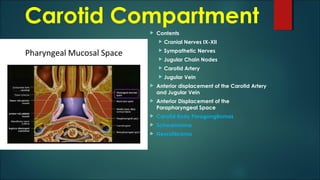 Carotid Compartment
 Contents
 Cranial Nerves IX-XII
 Sympathetic Nerves
 Jugular Chain Nodes
 Carotid Artery
 Jugular Vein
 Anterior displacement of the Carotid Artery
and Jugular Vein
 Anterior Displacement of the
Parapharyngeal Space
 Carotid Body Paragangliomas
 Schwannoma
 Neurofibroma
 