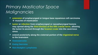 Primary Masticator Space
Malignancies
 extension of oropharyngeal or tongue base squamous cell carcinoma
 muscles of mastication
 tumor or infection from oropharyngeal or nasopharyngeal lesions
may spread along the third division of the fifth cranial nerve, allowing
the tumor to ascend through the foramen ovale into the cavernous
sinus
 extend posteriorly along the cisternal portion of the trigeminal nerve
to the brainstem
 Osteosarcoma
 Ewing Sarcoma
 Non-Hodgkin Lymphoma
 