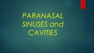PARANASAL
SINUSES and
CAVITIES
 