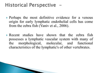  Perhaps the most definitive evidence for a venous
origin for early lymphatic endothelial cells has come
from the zebra fish (Yaniv et al., 2006).
 Recent studies have shown that the zebra fish
possesses a lymphatic vascular system with many of
the morphological, molecular, and functional
characteristics of the lymphatic's of other vertebrates.
 