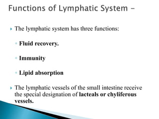  The lymphatic system has three functions:
◦ Fluid recovery.
◦ Immunity
◦ Lipid absorption
 The lymphatic vessels of the small intestine receive
the special designation of lacteals or chyliferous
vessels.
 