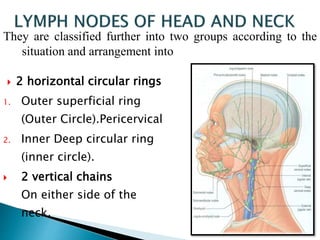  2 horizontal circular rings
1. Outer superficial ring
(Outer Circle).Pericervical
2. Inner Deep circular ring
(inner circle).
 2 vertical chains
On either side of the
neck.
They are classified further into two groups according to the
situation and arrangement into
 