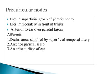  Lies in superficial group of parotid nodes
 Lies immediately in front of tragus
 Anterior to ear over parotid fascia
Afferents
1.Drains areas supplied by superficial temporal artery
2.Anterior parietal scalp
3.Anterior surface of ear
 