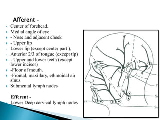 Afferent –
• Center of forehead.
 Medial angle of eye.
 - Nose and adjacent cheek
 - Upper lip
- Lower lip (except center part ).
- Anterior 2/3 of tongue (except tip)
 - Upper and lower teeth (except
lower incisor)
 -Floor of mouth.
 -Frontal, maxillary, ethmoidal air
sinus
 Submental lymph nodes
Efferent -
• Lower Deep cervical lymph nodes
 