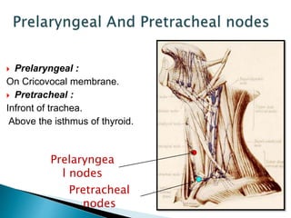  Prelaryngeal :
On Cricovocal membrane.
 Pretracheal :
Infront of trachea.
Above the isthmus of thyroid.
Prelaryngea
l nodes
Pretracheal
nodes
 