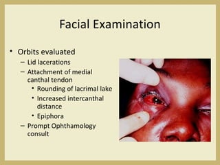 Facial Examination
• Orbits evaluated
– Lid lacerations
– Attachment of medial
canthal tendon
• Rounding of lacrimal lake
• Increased intercanthal
distance
• Epiphora
– Prompt Ophthamology
consult
 