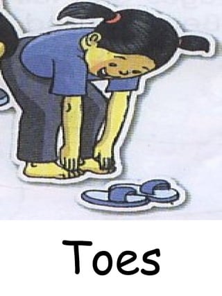 Toes
 