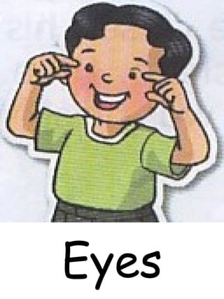 Eyes
 