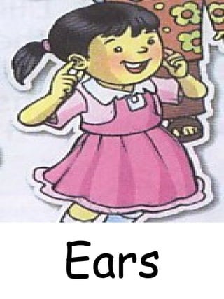 Ears
 