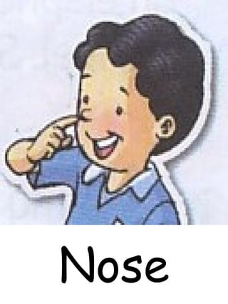 Nose
 