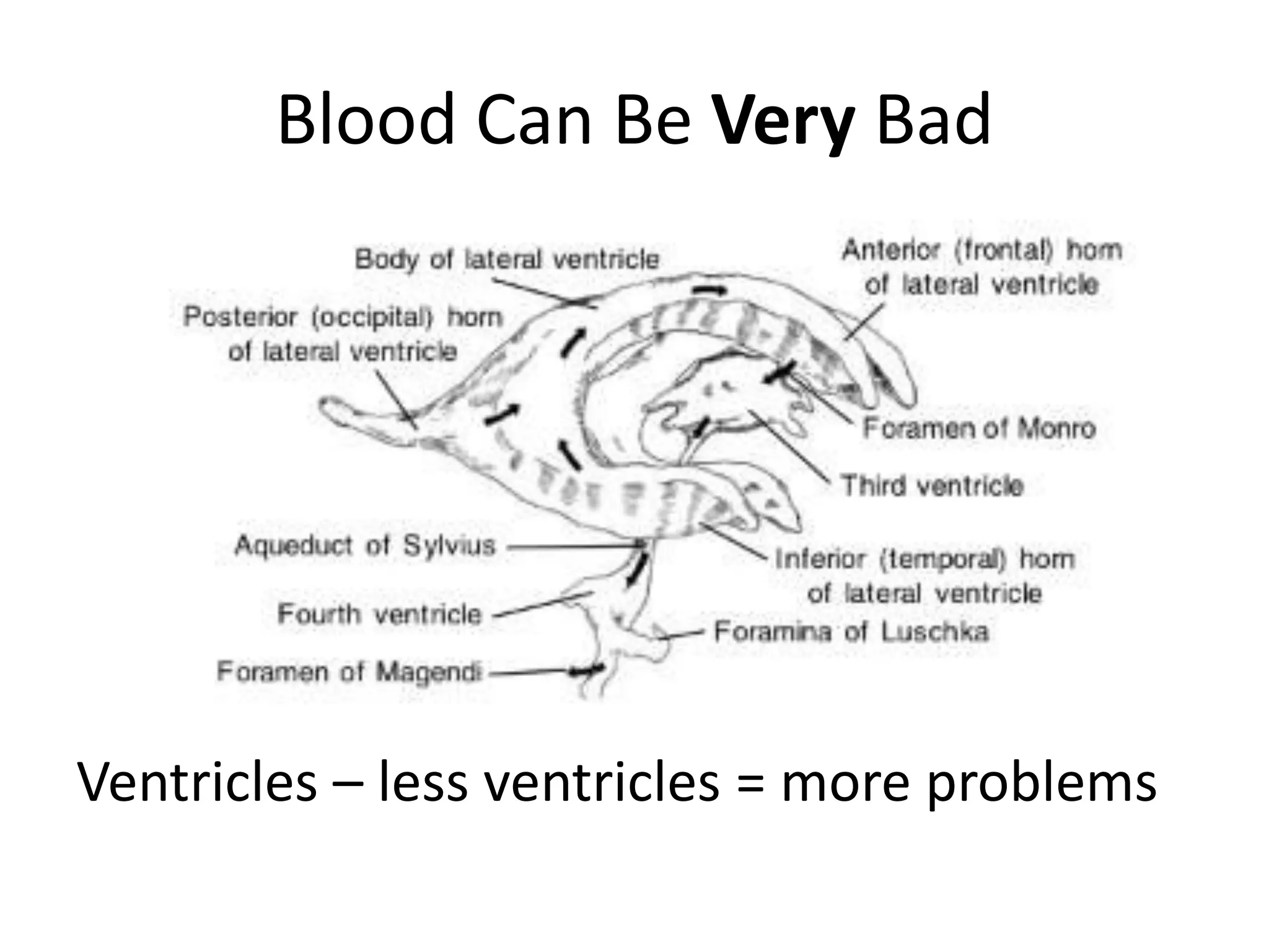 Blood Can Be Very BadVentricles – less ventricles = more problems