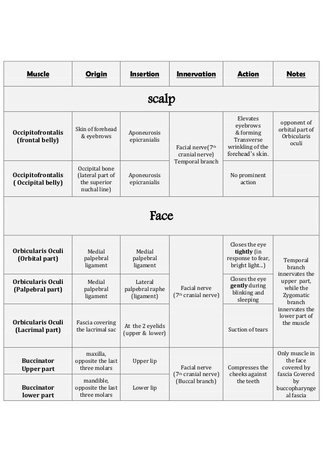 Head, face, and back muscles’ table