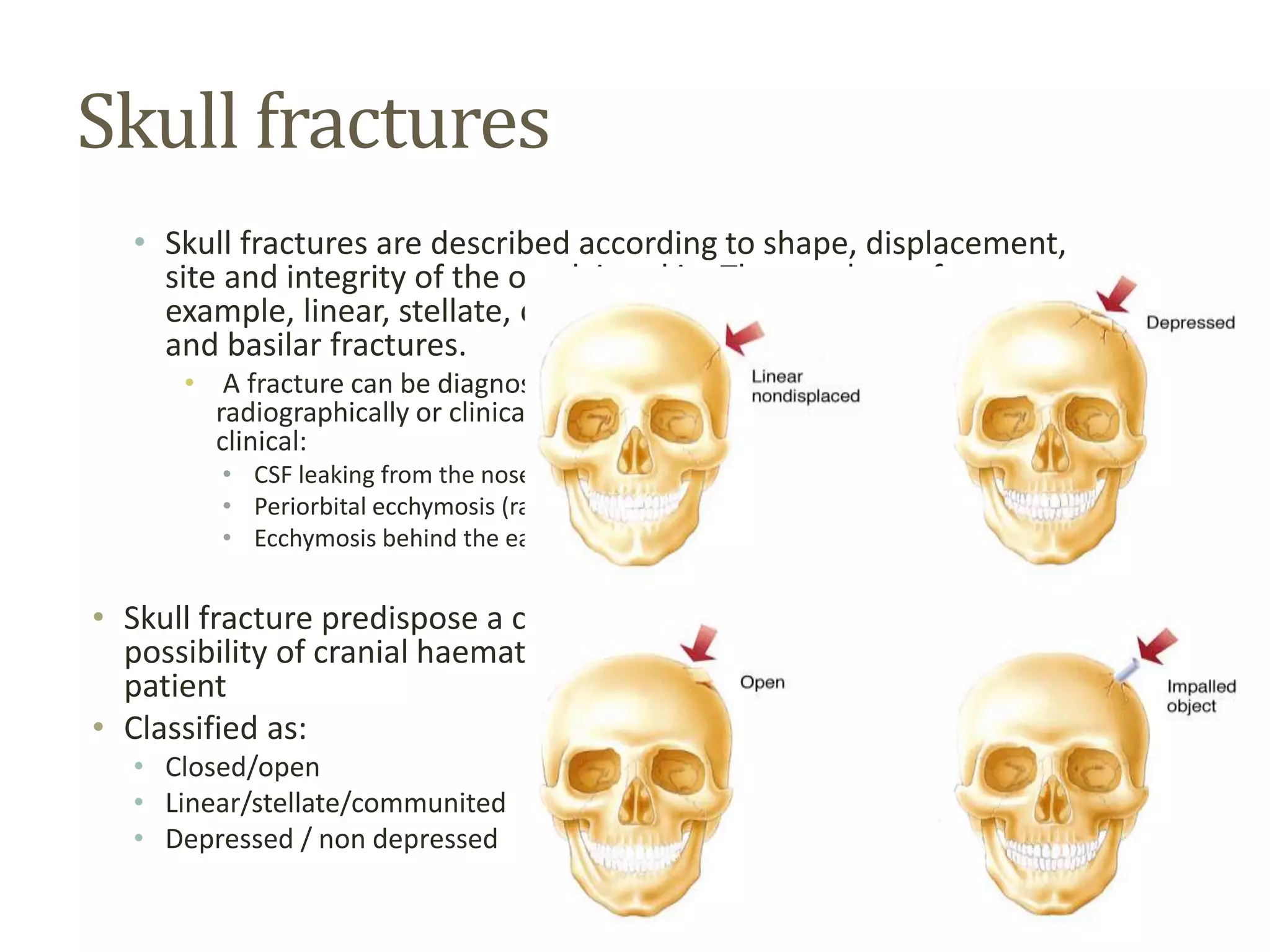 Skull fractures
• Skull fractures are described according to shape, displacement,
site and integrity of the overlying skin. Thus we have, for
example, linear, stellate, comminuted, depressed, compound,
and basilar fractures.
• A fracture can be diagnosed by digital exploration of the wound,
radiographically or clinically. The diagnosis of basilar fractures is often
clinical:
• CSF leaking from the nose or ear.
• Periorbital ecchymosis (raccoon eyes).
• Ecchymosis behind the ear (Battle's sign).
• Skull fracture predispose a conscious to about 400 times the
possibility of cranial haematoma and about 20 times in a comatose
patient
• Classified as:
• Closed/open
• Linear/stellate/communited
• Depressed / non depressed
 