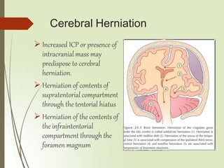 Cerebral Herniation
 Increased ICP or presence of
intracranial mass may
predispose to cerebral
herniation.
 Herniation of contents of
supratentorial compartment
through the tentorial hiatus
 Herniation of the contents of
the infraintentorial
compartment through the
foramen magnum
 