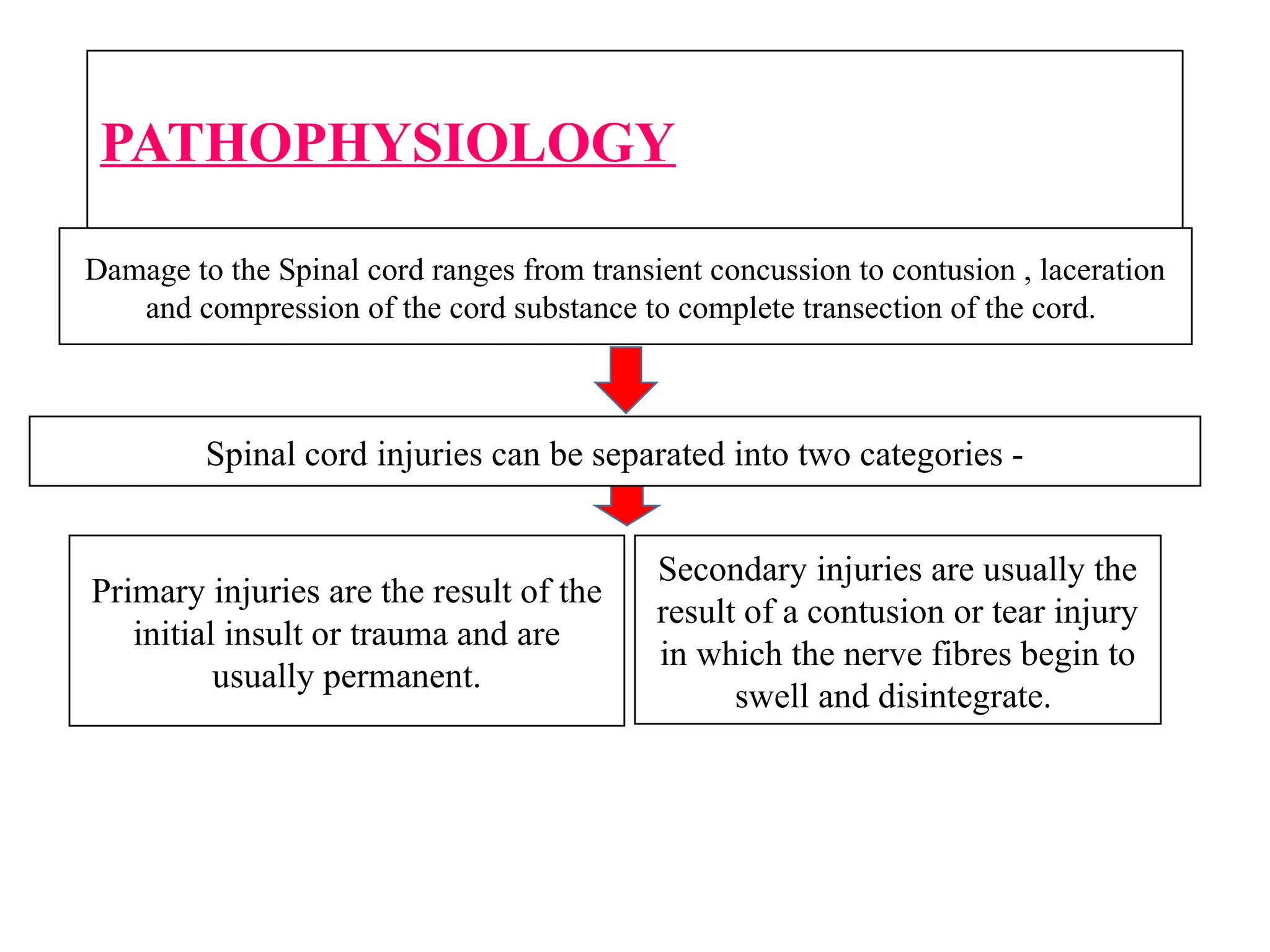 headinjuries and spinal cord injury last.pptx