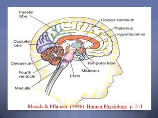 Rhoads & Pflanzer (1996) Human Physiology p. 211
 