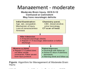 Management - moderate
 