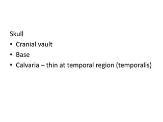 Skull
• Cranial vault
• Base
• Calvaria – thin at temporal region (temporalis)
 