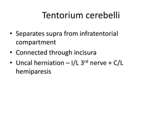 Tentorium cerebelli
• Separates supra from infratentorial
compartment
• Connected through incisura
• Uncal herniation – I/L 3rd nerve + C/L
hemiparesis
 