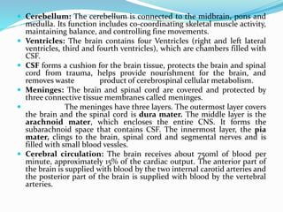  Cerebellum: The cerebellum is connected to the midbrain, pons and
medulla. Its function includes co-coordinating skeletal muscle activity,
maintaining balance, and controlling fine movements.
 Ventricles: The brain contains four Ventricles (right and left lateral
ventricles, third and fourth ventricles), which are chambers filled with
CSF.
 CSF forms a cushion for the brain tissue, protects the brain and spinal
cord from trauma, helps provide nourishment for the brain, and
removes waste product of cerebrospinal cellular metabolism.
 Meninges: The brain and spinal cord are covered and protected by
three connective tissue membranes called meninges.
 The meninges have three layers. The outermost layer covers
the brain and the spinal cord is dura mater. The middle layer is the
arachnoid mater, which encloses the entire CNS. It forms the
subarachnoid space that contains CSF. The innermost layer, the pia
mater, clings to the brain, spinal cord and segmental nerves and is
filled with small blood vessles.
 Cerebral circulation: The brain receives about 750ml of blood per
minute, approximately 15% of the cardiac output. The anterior part of
the brain is supplied with blood by the two internal carotid arteries and
the posterior part of the brain is supplied with blood by the vertebral
arteries.
 