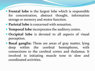  Frontal lobe is the largest lobe which is responsible
for concentration, abstract thought, information
storage or memory and motor function.
 Parietal lobe is concerned with sensation.
 Temporal lobe incorporates the auditory centre.
 Occipital lobe is devoted to all aspects of visual
perception.
 Basal ganglia: These are areas of gray matter, lying
deep within the cerebral hemispheres, with
connections to the cerebral cortex and thalamus. It
involved in initiating muscle tone in slow and
coordinated activities.
 