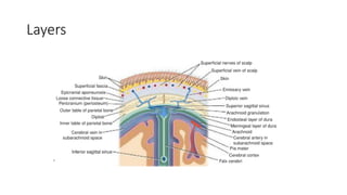 C Ruhul Head injury - Dr. Md. Ruhul Kuddus Biplob NeurosurgeonUpdated.pptx