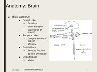 Anatomy: Brain
■ Brain: Cerebrum
■ Frontal Lobe
– Emotions
– Motor Function
– Expression of
speech
■ Temporal Lobe
– Comprehension of
speech
– Memory
■ Parietal Lobe
– Sensory function
– Spacial orientation
■ Occipital Lobe
– Vision
Head Injury 4
DR NDAYISABA CORNEILLE
 