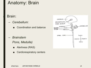 Anatomy: Brain
■ Brain:
– Cerebellum:
■ Coordination and balance
– Brainstem (Midbrain,
Pons, Medulla)
■ Alertness (RAS)
■ Cardiorespiratory centers
Head Injury DR NDAYISABA CORNEILLE 5
 