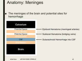 Anatomy: Meninges
■ The meninges of the brain and potential sites for
hemorrhage
Head Injury DR NDAYISABA CORNEILLE 6
Brain
Calvarium
Dura Mater
Arachnoid
Pia Mater
Potential Space
CSF
Potential Space
Epidural Hematoma (meningeal arteries)
Subdural Hematoma (bridging veins)
Subarachnoid Hemorrhage into CSF
 