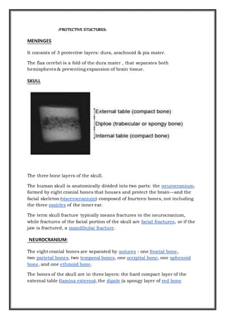 :PROTECTIVE STUCTURES:
MENINGES
It consists of 3 protective layers: dura, arachnoid & pia mater.
The flax cerebri is a fold of the dura mater , that separates both
hemispheres & preventing expansion of brain tissue.
SKULL
The three bone layers of the skull.
The human skull is anatomically divided into two parts: the neurocranium,
formed by eight cranial bones that houses and protect the brain—and the
facial skeleton (viscerocranium) composed of fourteen bones, not including
the three ossicles of the inner ear.
The term skull fracture typically means fractures to the neurocranium,
while fractures of the facial portion of the skull are facial fractures, or if the
jaw is fractured, a mandibular fracture.
NEUROCRANIUM:
The eight cranial bones are separated by sutures : one frontal bone,
two parietal bones, two temporal bones, one occipital bone, one sphenoid
bone, and one ethmoid bone.
The bones of the skull are in three layers: the hard compact layer of the
external table (lamina externa), the dipole (a spongy layer of red bone
 