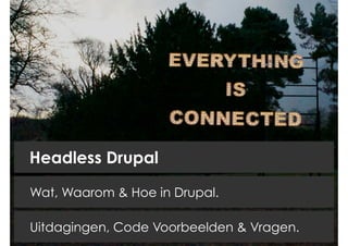 Wat, Waarom & Hoe in Drupal.
Headless Drupal
Uitdagingen, Code Voorbeelden & Vragen.
 