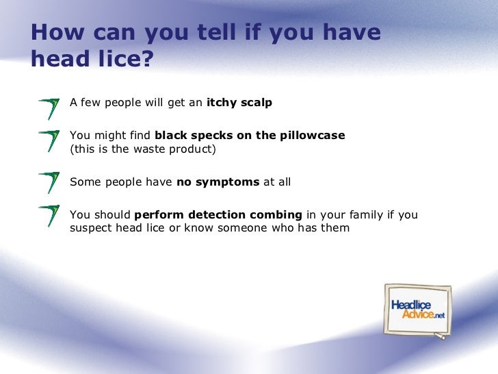 Head Lice Advice For Pas 6