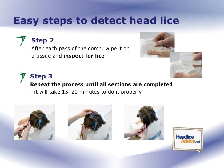 Head Lice Advice for Parents