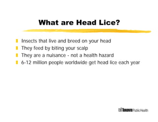 head lice prevention and treatment presentation.pdf