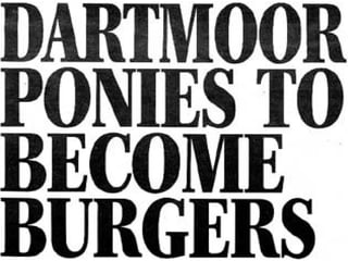 Headlines