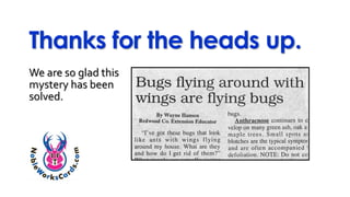 Thanks for the heads up.
We are so glad this
mystery has been
solved.
 