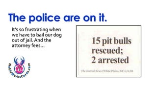 The police are on it.
It’s so frustrating when
we have to bail our dog
out of jail.And the
attorney fees…
 